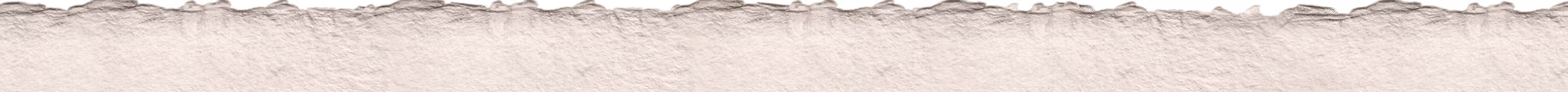 TFF-Section2-01-BC-02-.png
